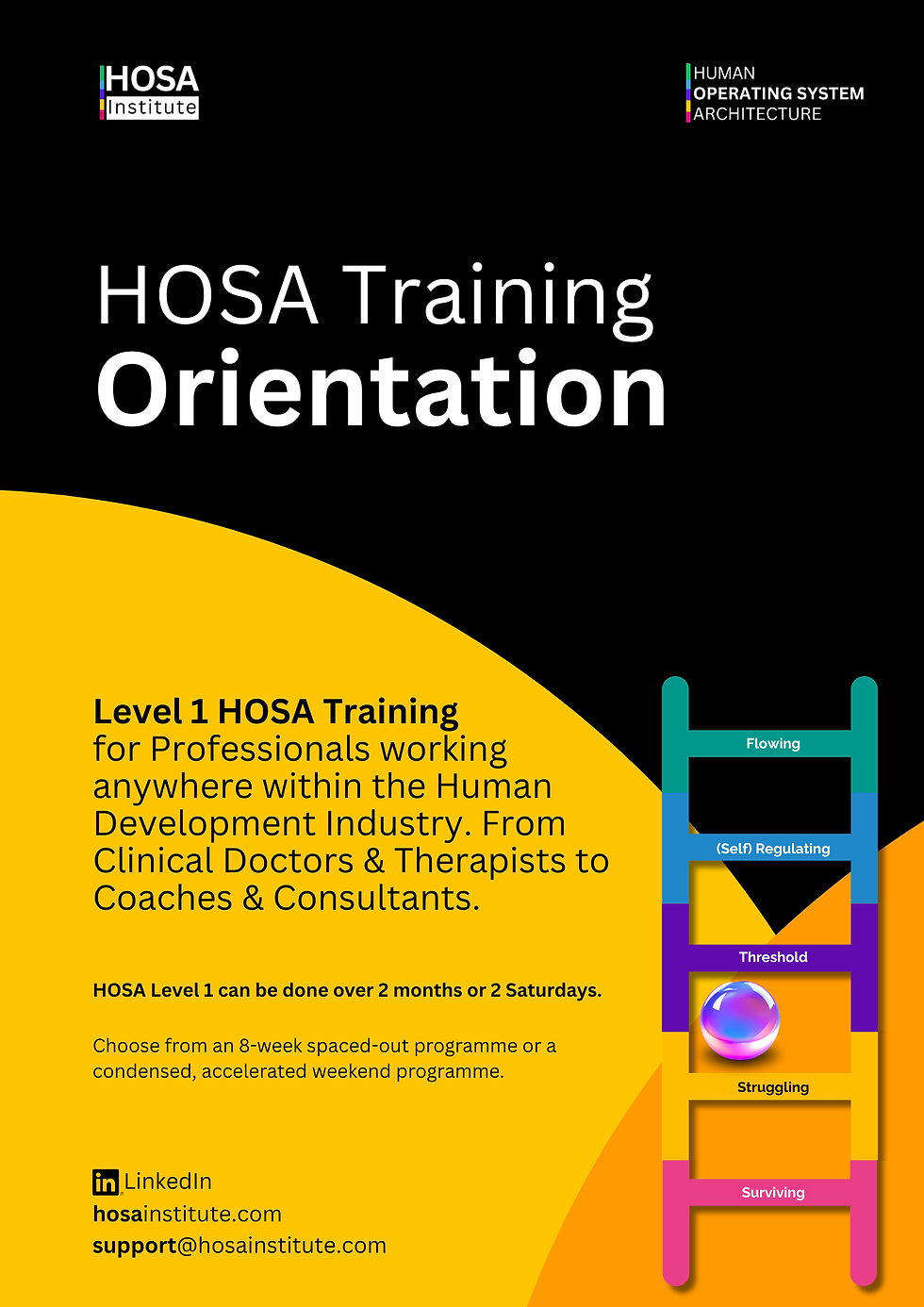 HOSA Institute Documents (2).png