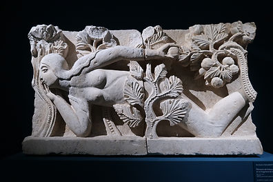 Autun-musée Rollin (3).JPG