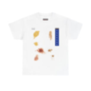 PRE STAINED/TAGGED SHIRT