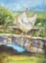 349773389_3396399380666060_1819396269071001992_n