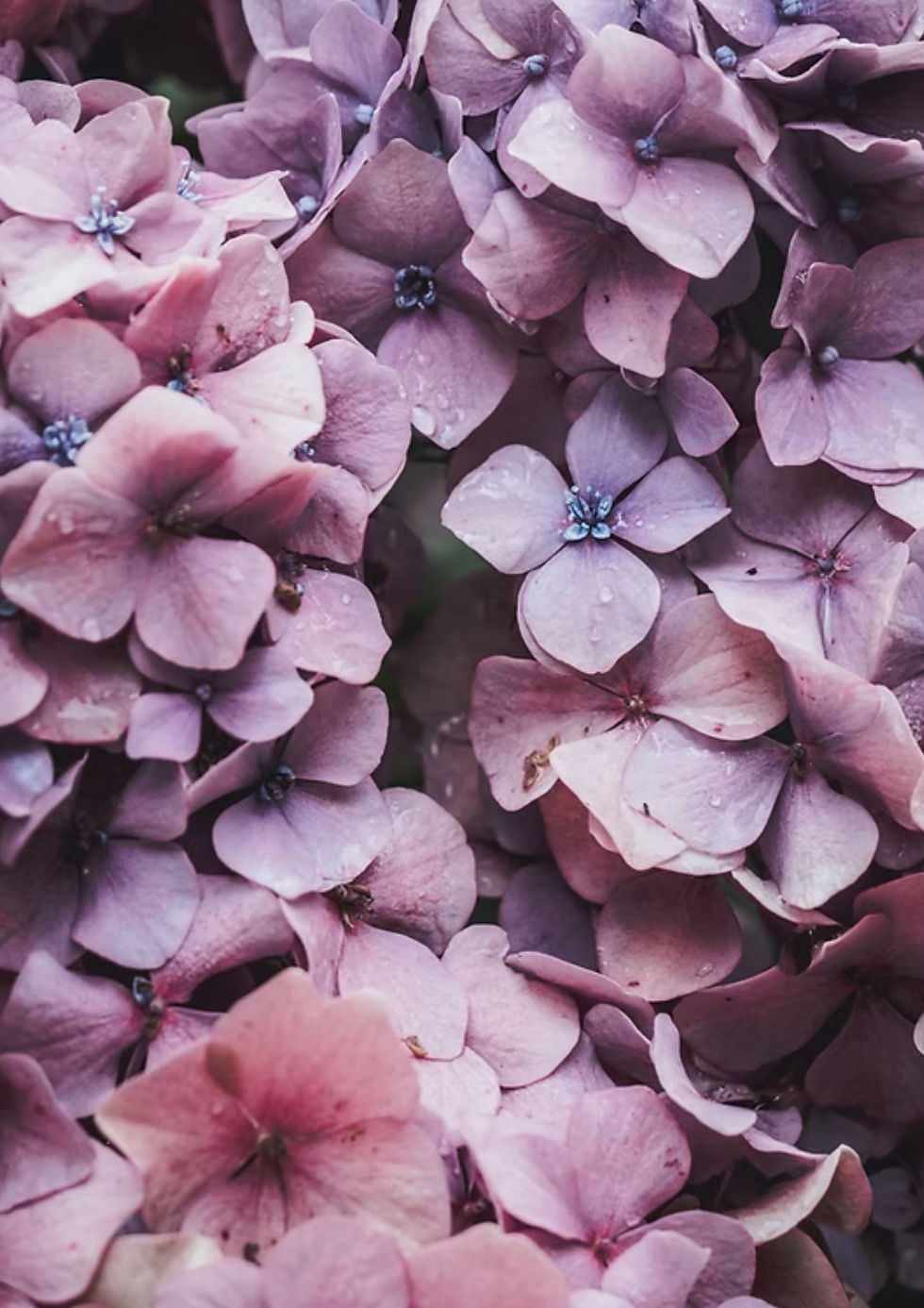 Take Your Offering To The Next Level – Online Coaching & Course