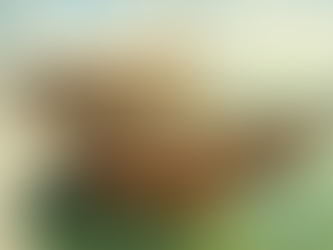 Behind the Echo: Not My Flag to Raise