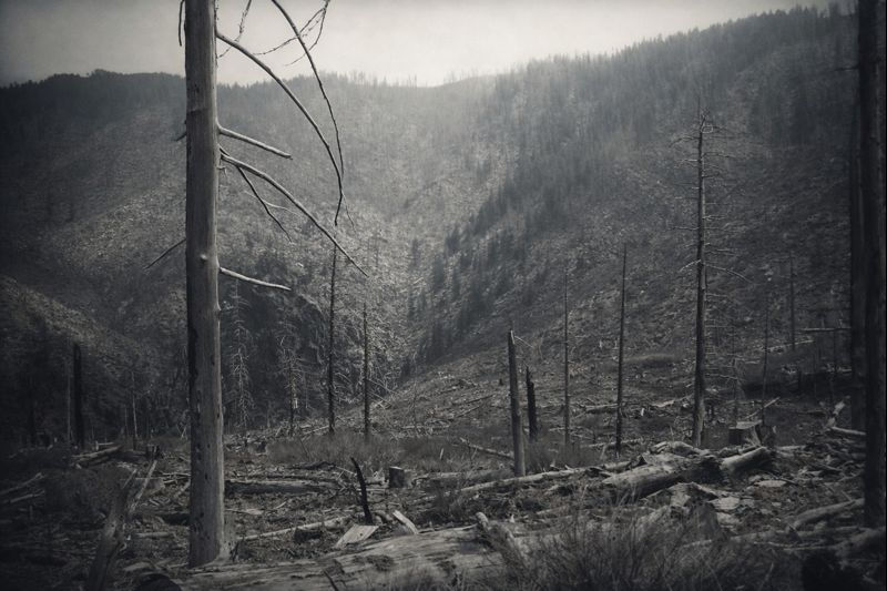 “What remains after the noise fades is often the truest part of the story.”