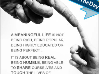 Why (PFP) Does What We Do