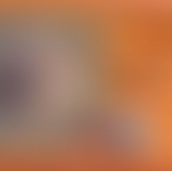 Tierpark - Lotto Neu 2 - DDR