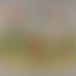 Lustiges Ein Mal Eins - Gustav Weise