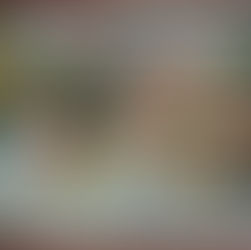 Im Märchenwald - Hausser