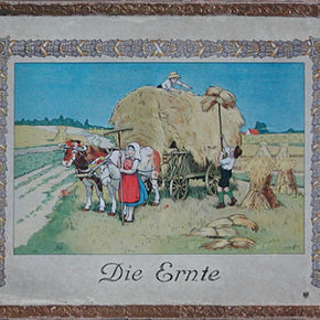Die Ernte
