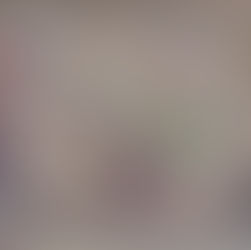 La Mouche Mysterieuse - Die geheimnisvolle Fliege