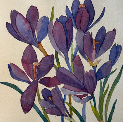 watercolor of Crocus flowers