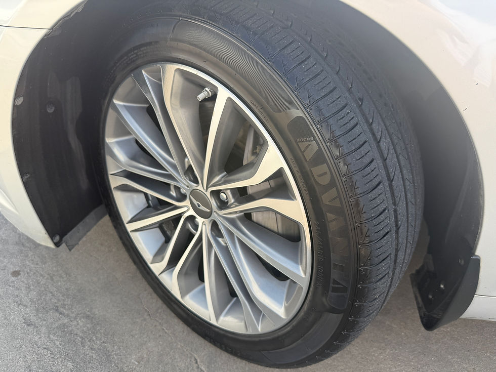 섬네일: 16 GENESIS G80