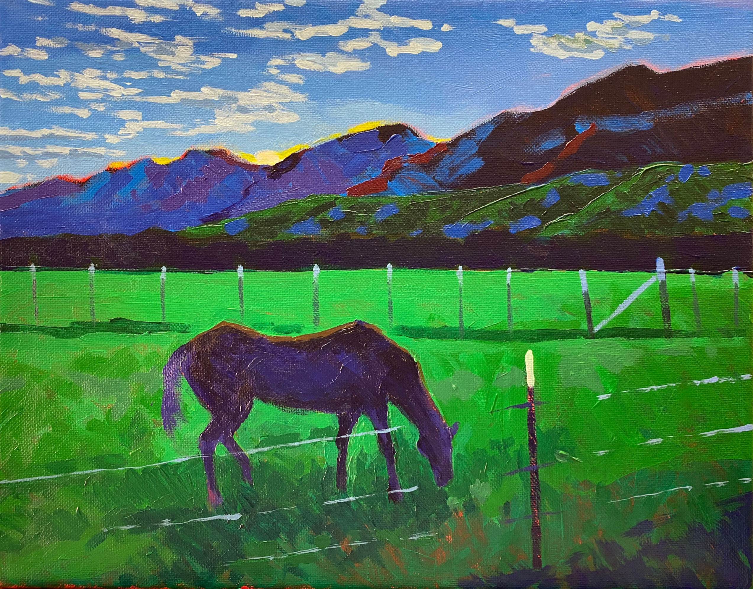 Sunrise Pasture