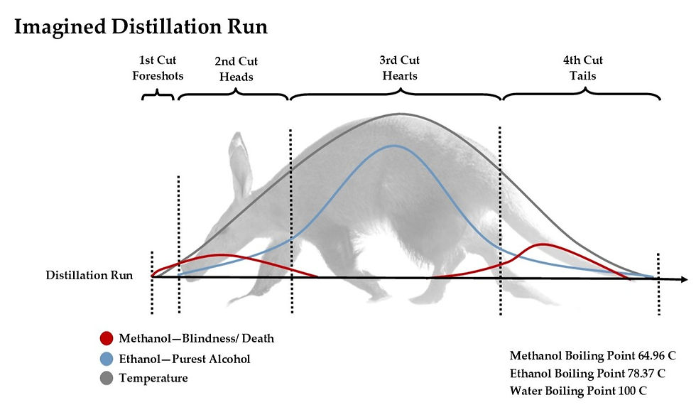 Imagined Distillation run