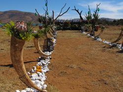 The Bachelor Series 2