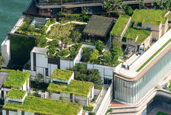 Nature Discovery Park overview