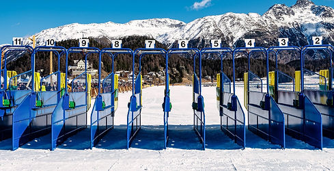 White Turf.jpg