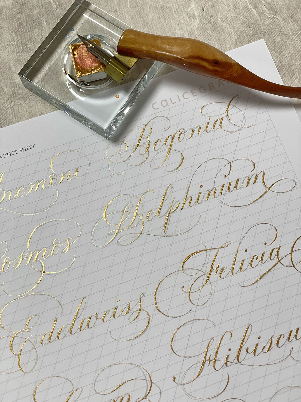 Thumbnail: (Digital) Calligraphy Practice Sheets | Flowers AtoZ