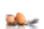 pasture-raised guinea eggs