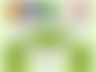 16.ª edição do CNL  | Fase Escolar/Municipal
