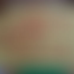 Dia Internacional dos Direitos Humanos na Biblioteca