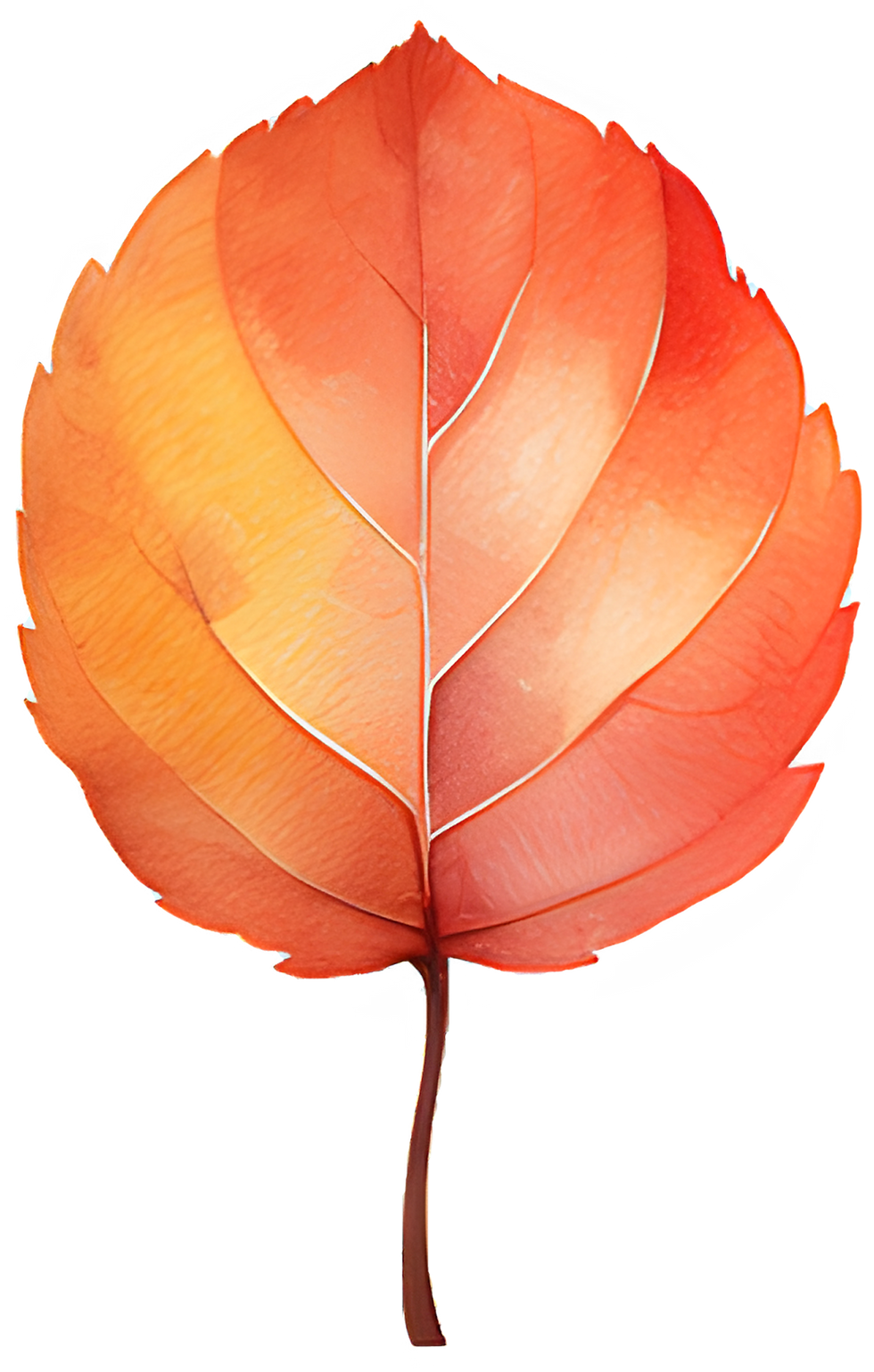 Dutch Autumn: A Climate Briefing for People Who Thought They Knew What Grey Meant