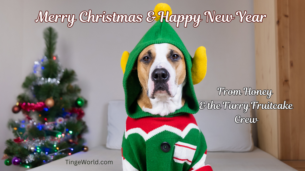 Happy Holidays Funny Dog 