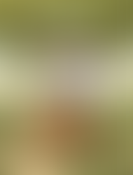 Tootberry Chronicles Now in Print: Flatulence Fanfare Lands on Paper