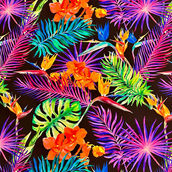 Spandex à motifs tropicaux