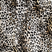 Tissu spandex Léopard