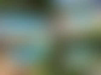 Swimming Pools – Why Do You Need One At Your Place?