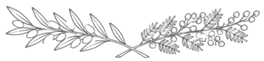 ChatGPT Image 6 de ago_edited.png