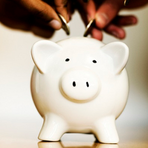 What do Strata Levies Cover?