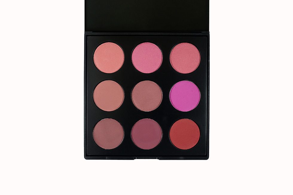 9 blush palette 2