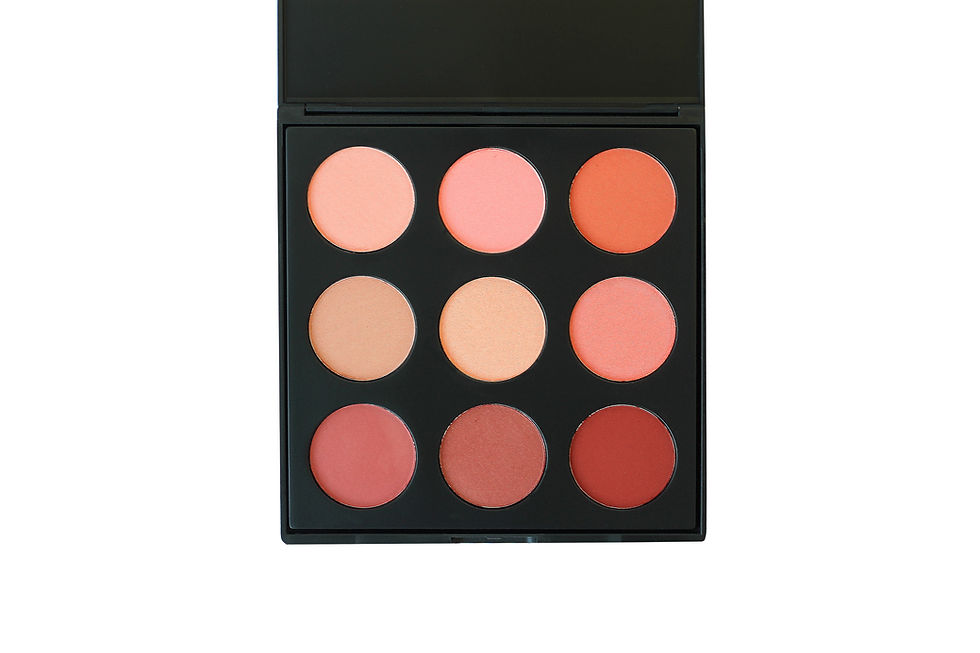 9 Blush palette 1