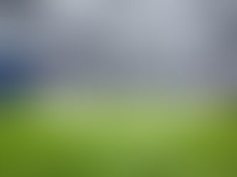 indoor vs outdoor soccer field