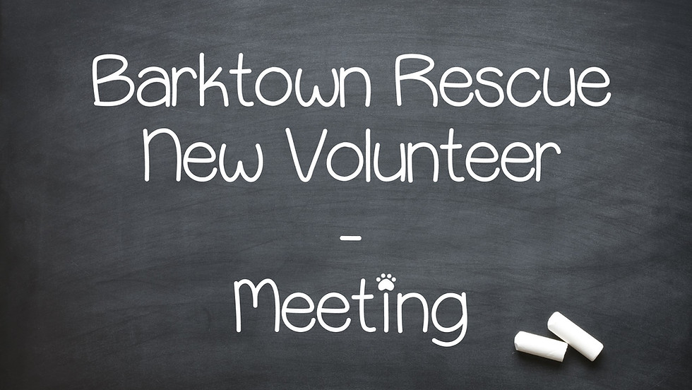 New Volunteer Meeting April