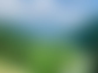 12 Family Friendly Activities and Attractions in Kashmir