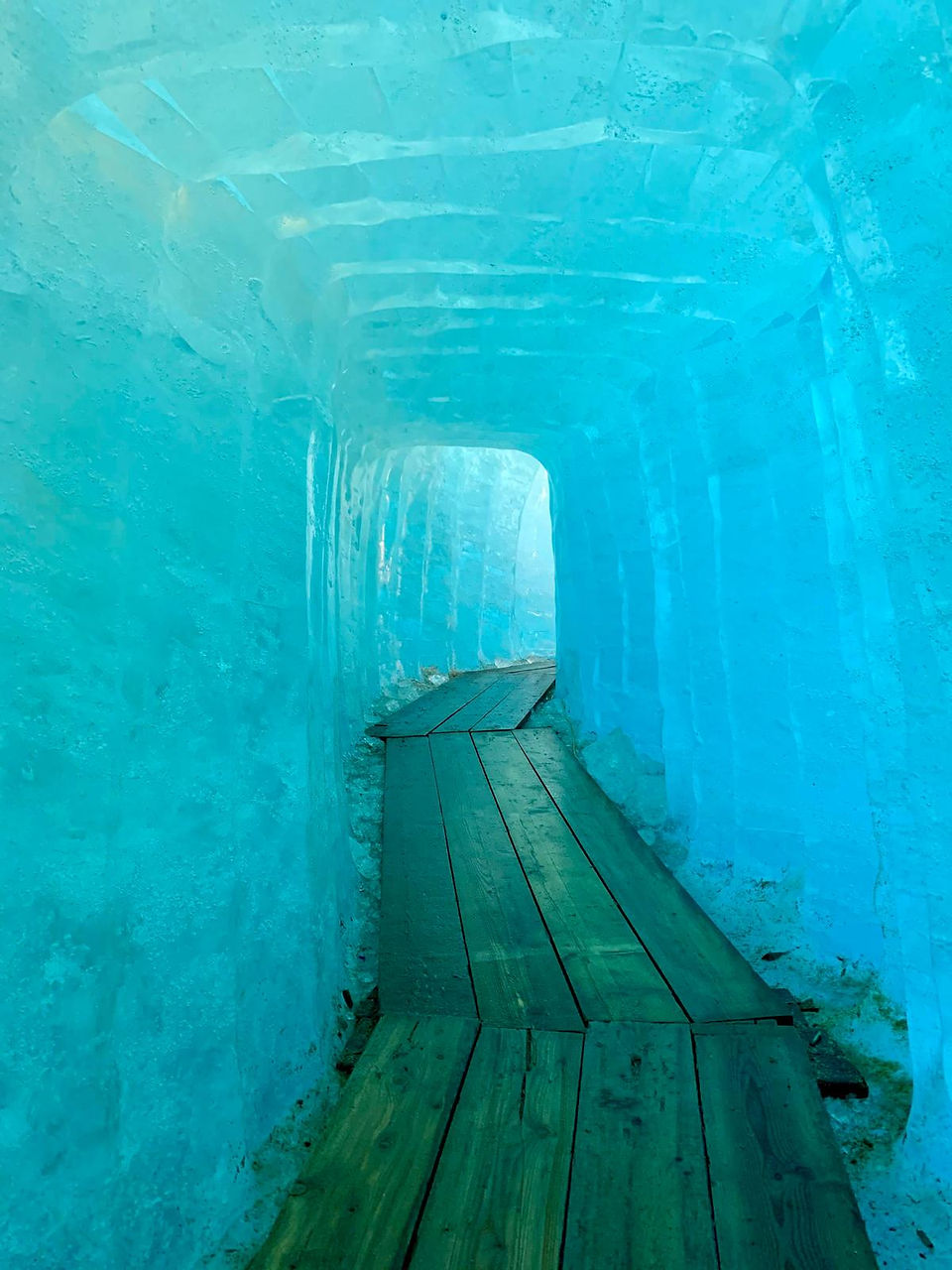 Step into a Frozen Wonderland