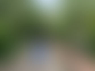 Fun things to do with kids in Netherlands - A day in Archeon