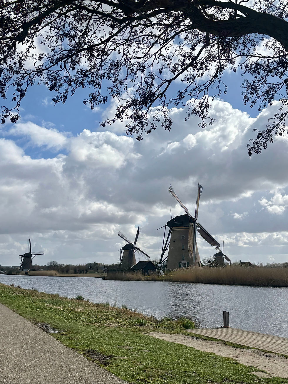 Kinderdijk has 19 historic windmills, mostly built around 1740