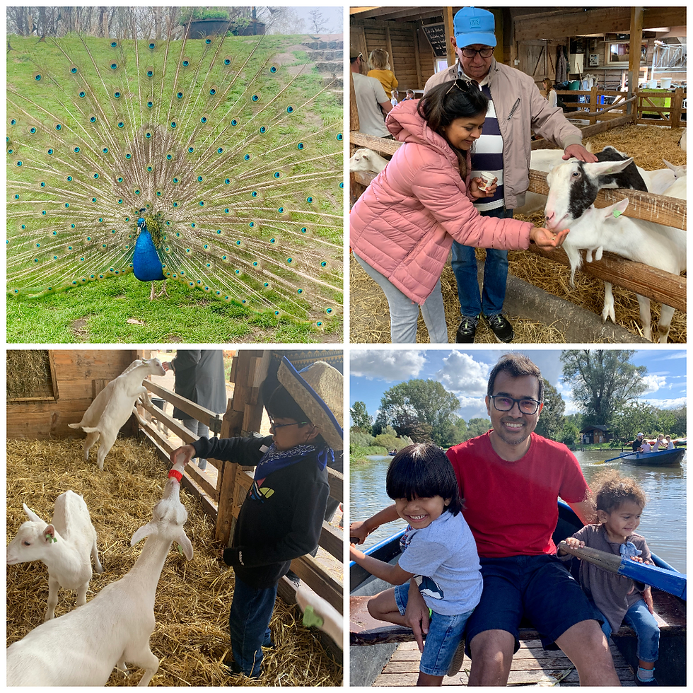 A day at Boerderij ’t Geertje in Zoeterwoude: Admiring a majestic peacock, feeding friendly goats, and enjoying a family boat ride under the sunny sky.
