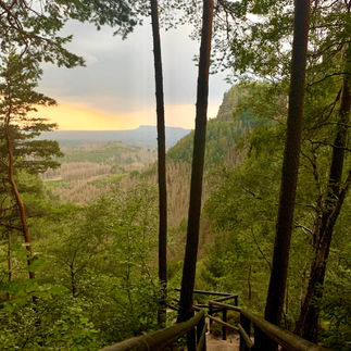 Hiking to Pravčická Gate