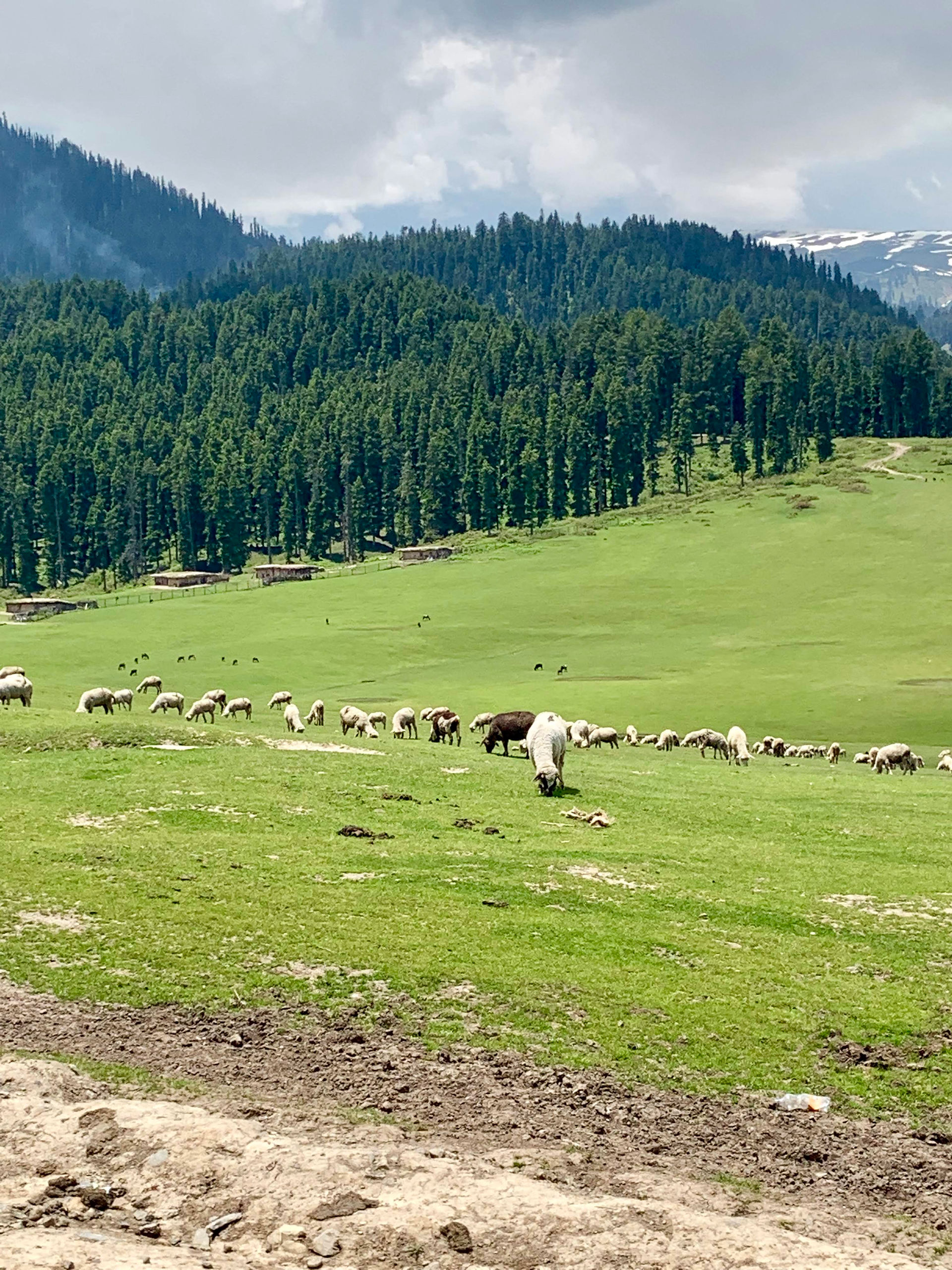 Valley of Shepherds