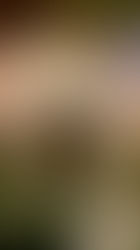 Entrance to the medieval-themed "Lancelot Knights Restaurant," featuring ornate stonework and knight statues, inviting guests to step into a world of chivalry and history.