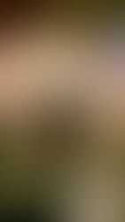 Entrance to the medieval-themed "Lancelot Knights Restaurant," featuring ornate stonework and knight statues, inviting guests to step into a world of chivalry and history.