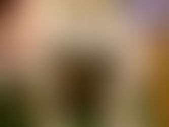 Entrance to the medieval-themed "Lancelot Knights Restaurant," featuring ornate stonework and knight statues, inviting guests to step into a world of chivalry and history.