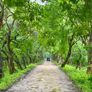 Beginning the journey through the National Park
