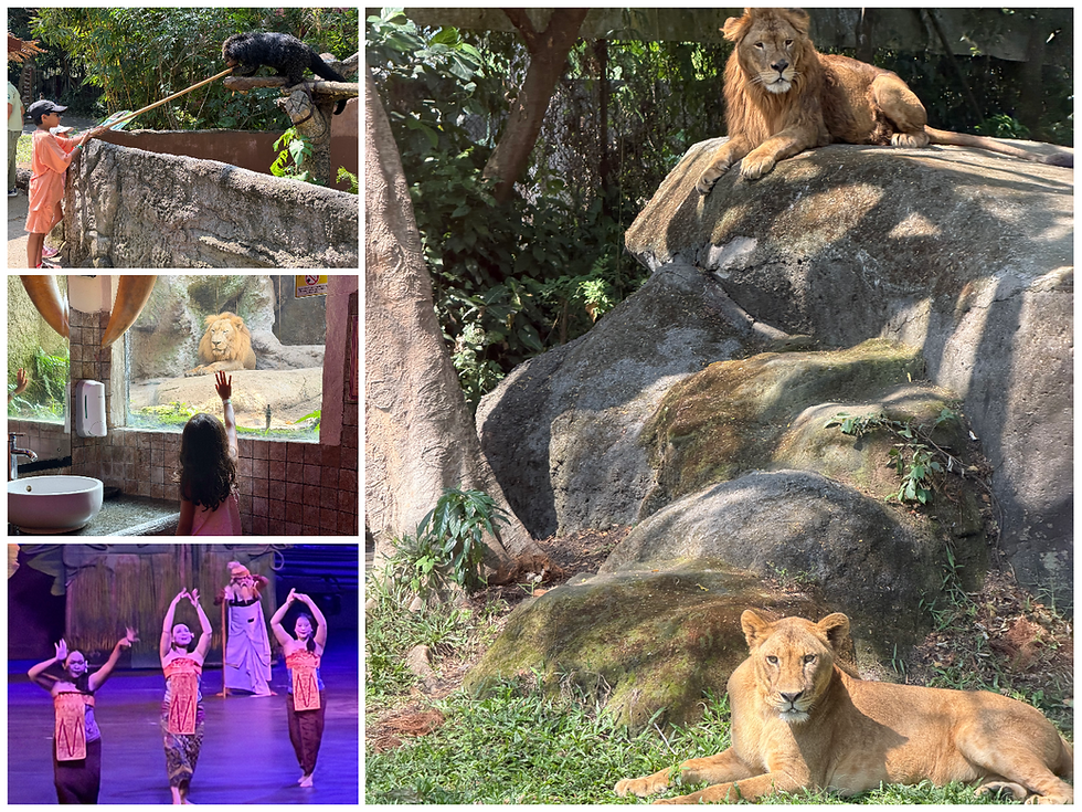 Exploring Taman Safari by engaging with wildlife and cultural experiences, from feeding animals and observing majestic lions to enjoying traditional dance performances.