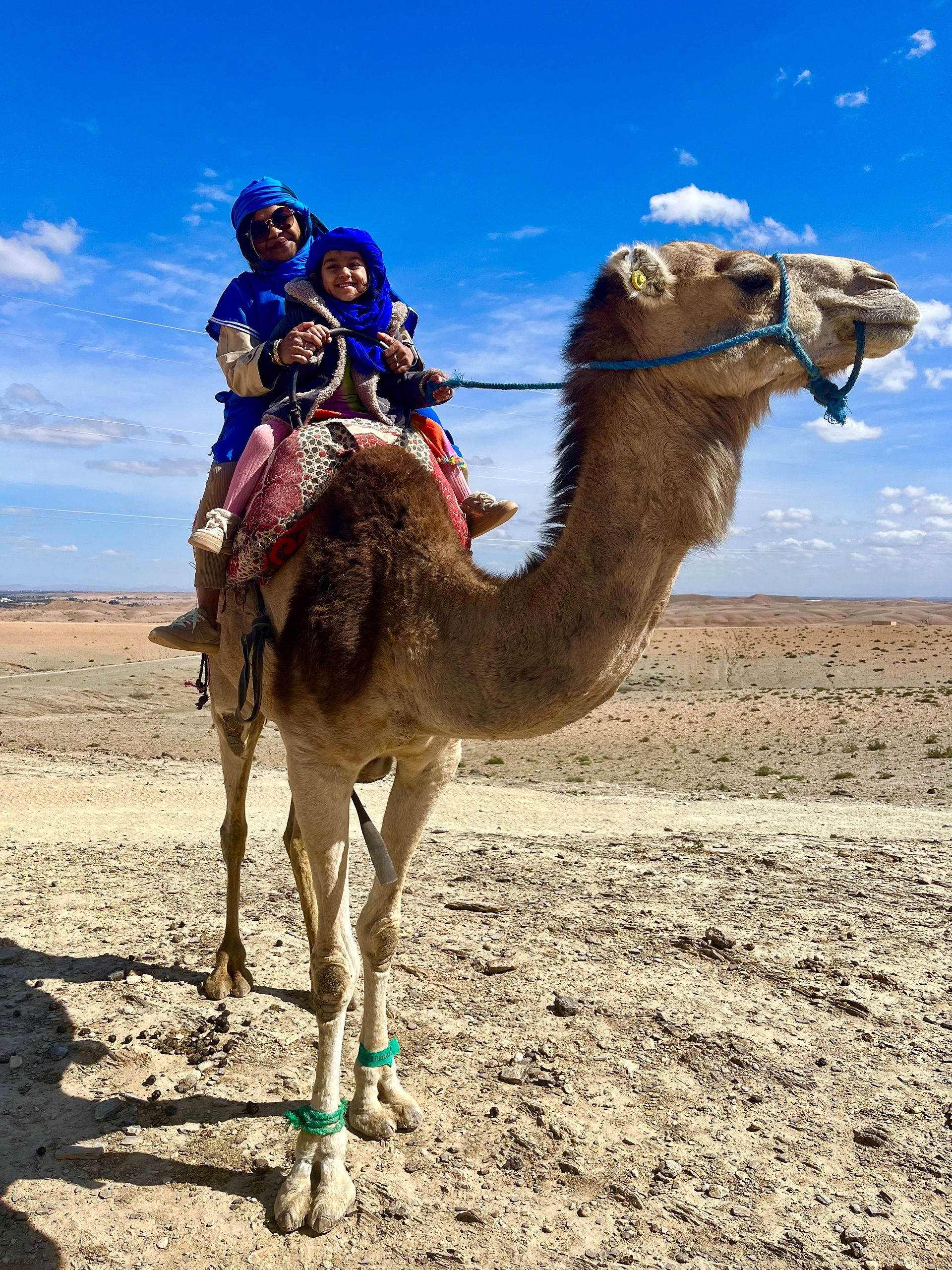 Camel riding Agafay