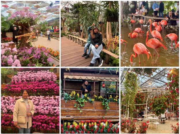 Checking out the lively sights of Pantropica is a blast: you'll find lush flower displays, flamingos chilling in calm waters, and charming walkways that make you want to dive right into this tropical paradise.